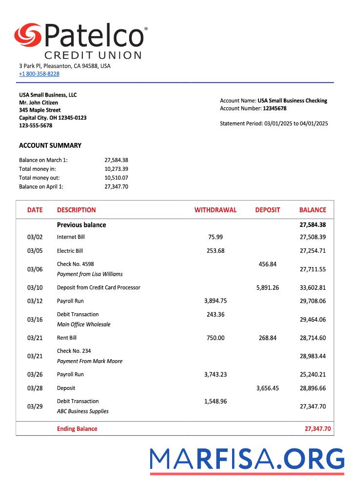 Realistic USA California Patelco Credit Union firm account statement Word and PDF template